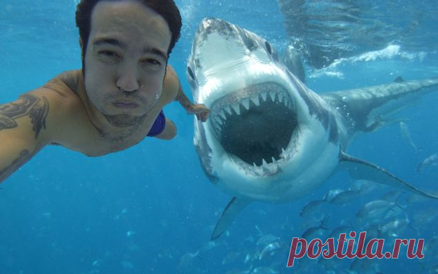 10 selfies που τραβήχτηκαν πριν από το θάνατο (εικόνες) | newsrebel.gr
