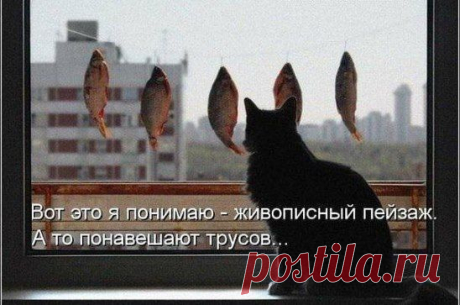 Любитель-рыболов