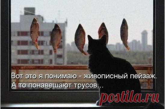 Любитель-рыболов