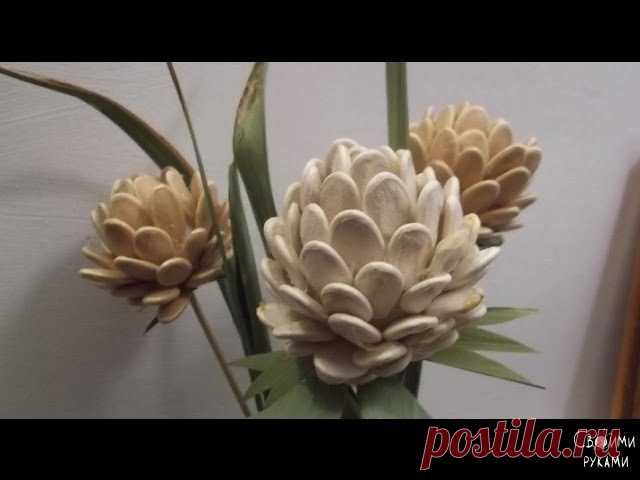 Поделки из тыквенных семечек. Идеи.