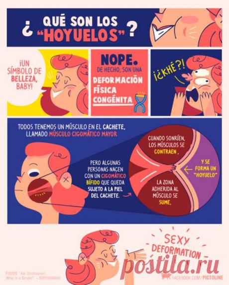 Pictoline: el arte de explicar historias en pocos segundos | Verne México EL PAÍS