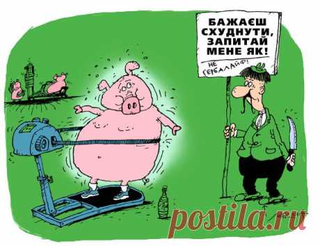как сохранить результаты после диеты | Блог Ярослава Брина