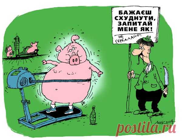 как сохранить результаты после диеты | Блог Ярослава Брина