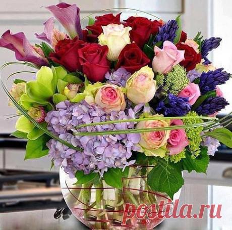 Красивые Цветы  Для Тебя