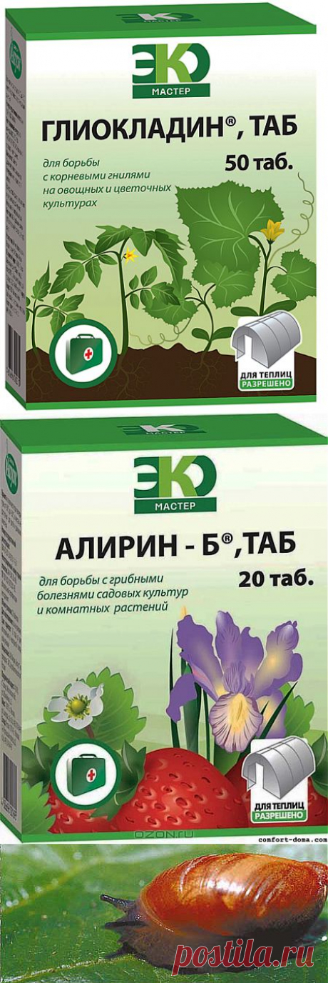 Биопрепараты от болезней растений. Как побороть вредителей. | Самоцветик