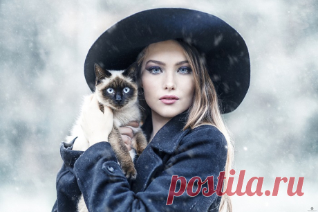 30 удивительных фотографий милых кошек и их очаровательных хозяек