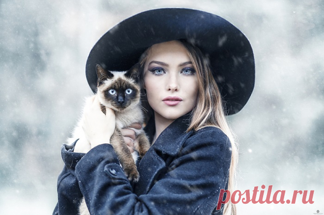 30 удивительных фотографий милых кошек и их очаровательных хозяек