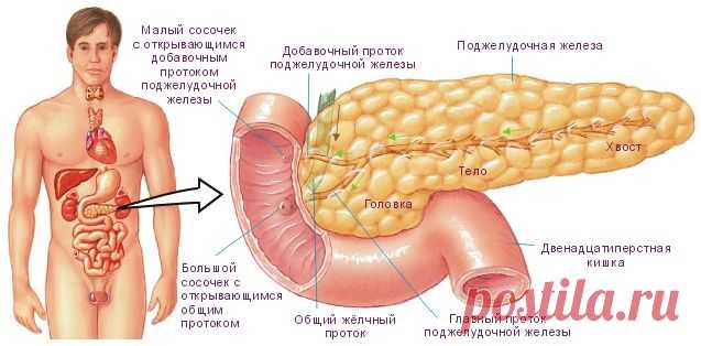 4 самых простых и эффективных рецепта для лечения поджелудочной железы, о которых врачи умалчивают