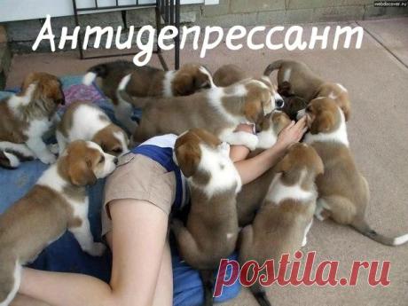 Фото Без названия. Альбом Фото группы - 50 фото. Фотографии ЮМОР@Mail.ru.