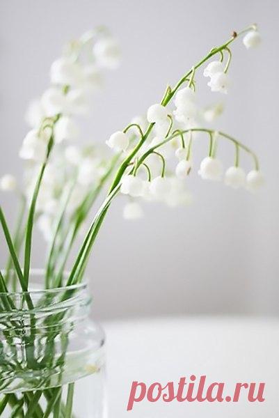 (1) Мой Мир@Mail.Ru