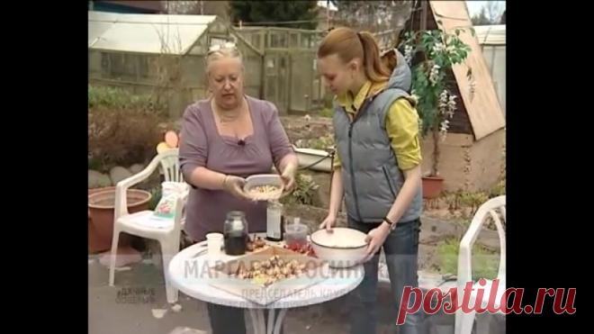 Идеи для сада | дача | ландшафт| огород | ВКонтакте