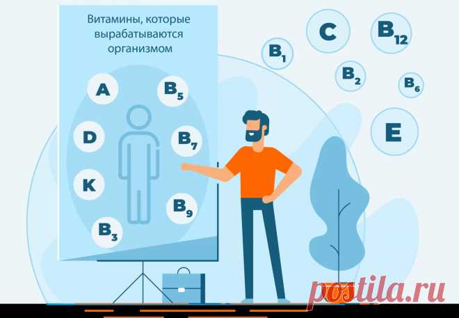 Часть витаминов поступает к нам с пищей, остальное организм способен дополнительно синтезировать сам.
Какие группы витаминов бывают в организме? Витамины D, B9, B12
