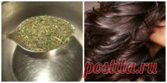 Остановить выпадение волос помогут эти 2 ингредиента! Густые, красивые и здоровые волосы за копейки!
