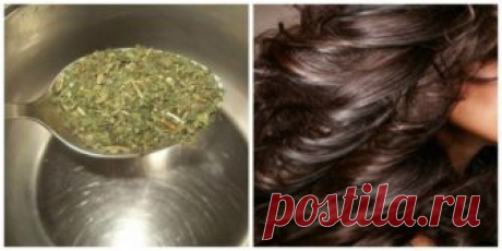 Остановить выпадение волос помогут эти 2 ингредиента! Густые, красивые и здоровые волосы за копейки!