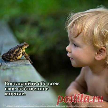 Мы не строим бизнес для спонсора или вышестоящих - мы строим бизнес исключительно для себя. Я усвоил раз и навсегда это правило от мультимиллионера МЛМ, который уже в сетевом маркетинга 48 лет!!! И уже много лет меня &quot;не душит жаба&quot;, что я делаю активность для спонсора - я делаю его для своего собственного бизнеса.
