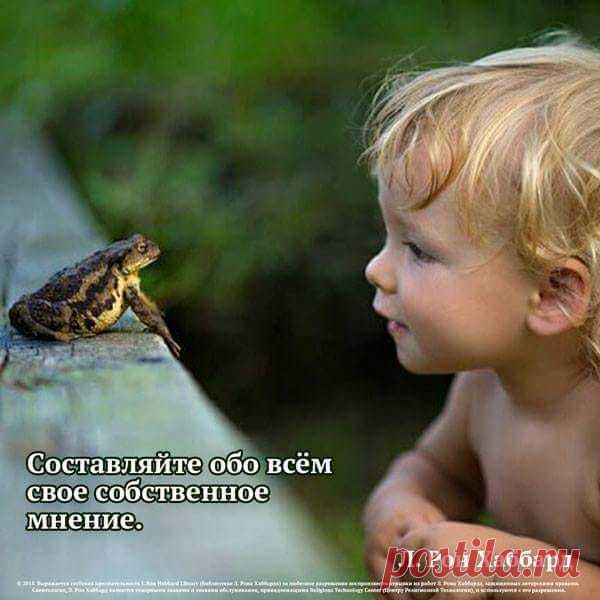 Мы не строим бизнес для спонсора или вышестоящих - мы строим бизнес исключительно для себя. Я усвоил раз и навсегда это правило от мультимиллионера МЛМ, который уже в сетевом маркетинга 48 лет!!! И уже много лет меня "не душит жаба", что я делаю активность для спонсора - я делаю его для своего собственного бизнеса.