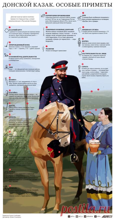 Донской казак. Особые приметы | Инфографика | Вопрос-Ответ | Аргументы и Факты