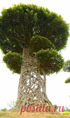 Pinterest