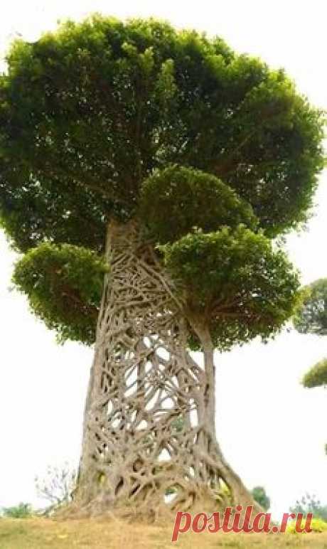 Pinterest