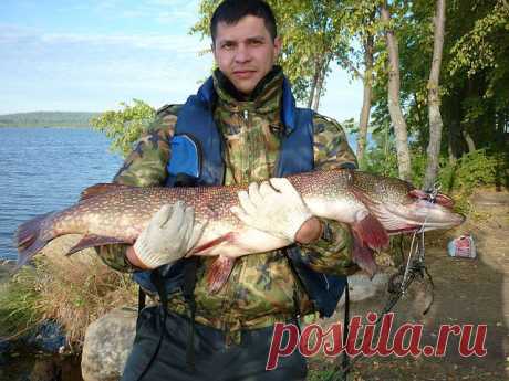aidar safin
35 лет, Россия, нижний тагил