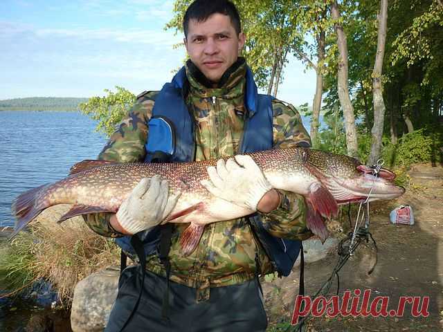 aidar safin
35 лет, Россия, нижний тагил