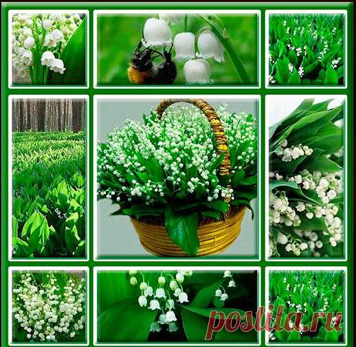 Есть душа, как бездонный родник,
Что наполнен живою водою,
Осторожно в неё загляни,
Зачерпни это благо ладонью.
Дар бесценен, глоток осуши.
Кто-то мудрый, сказал очень ясно,
Если даришь глоточек души,
В этом мире живёшь не напрасно!