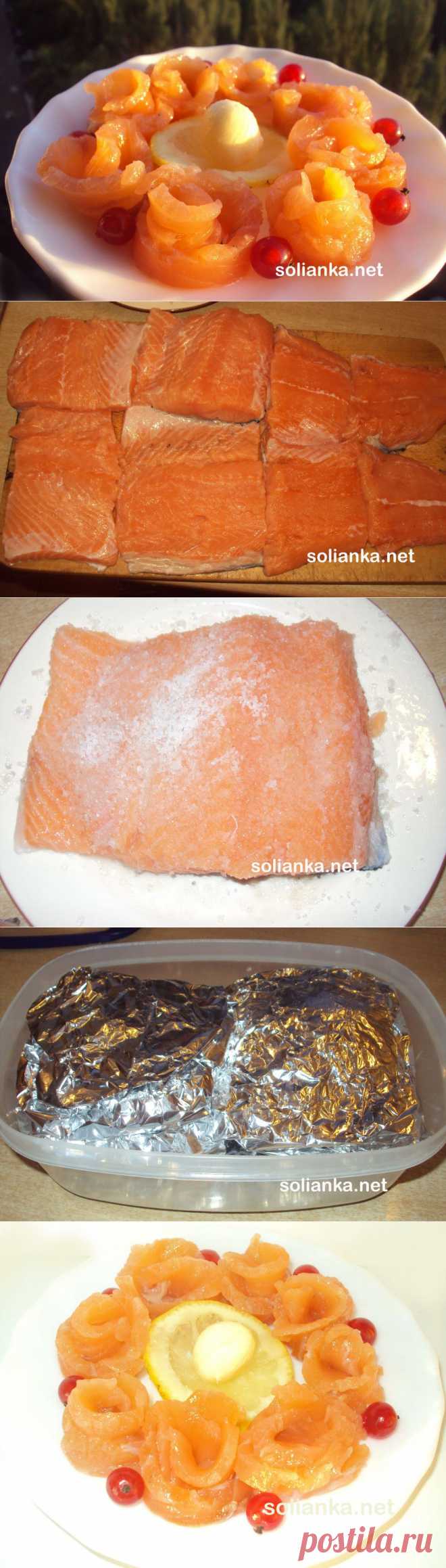 Как засолить сёмгу