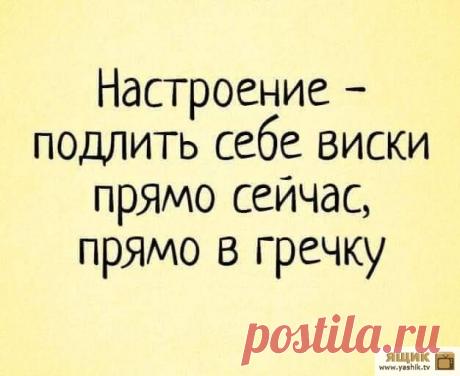 Подборка убойного юмора Огромная подборка и коллекция прикольных и ржачных картинок и фотографий.