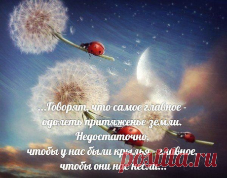 Притяженье земли аккорды без регистрации на ViewTrack.ru