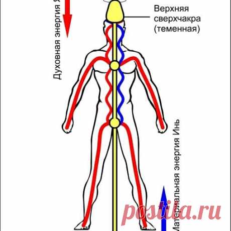 puti_volhva
Не могу найти картинки подходящие. Вот эти более менее. Многие спрашивают, что такое нечисть, о которой я говорю. Запутал многих. Каждый понимает по своему. Нечисть, это я так обобщил. Слова нет пока чётко характеризующего ЭТО. ПЕРВАЯ картинка - как должно быть. Условно человек запитан из Земли и закопал свой СТОЛП. Поскольку, многие и многие не делают этого, их корни (энергетические) торчат во все стороны ,питают и получают информацию из неоткуда, из того что ...