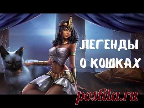 Самые странные легенды о кошках - Проверьте, знаете ли вы их!
Они крадут человеческую душу, питаются энергией человека, являются воплощением зла или божества. Хотя легенды о кошках ходят веками, они все еще живут рядом с человеком.