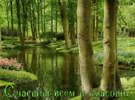 Неделька - 975 фото. Фотографии Зарема Виноградова.