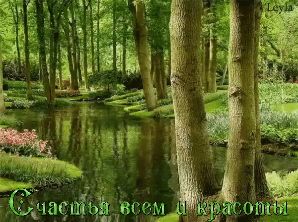 Неделька - 975 фото. Фотографии Зарема Виноградова.