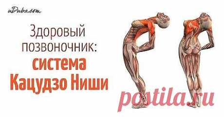 Эти упражнения улучшают кровоснабжение мозга, выпрямляют позвоночник,  освобождает сосуды от зажимов Здоровый позвоночник - основа хорошего  самочувствия. Нарушение осанки, искривление позвоночника нарушают  циркуляцию крови, а значит к клеткам перестает поступать полноценное  питание и достаточное количество кислорода.
            Кацудзо Ниши, известный благодаря системе «Золотые правила  здоровья», разработал короткий и простой комплекс, включающий 4  упражнения для поз...