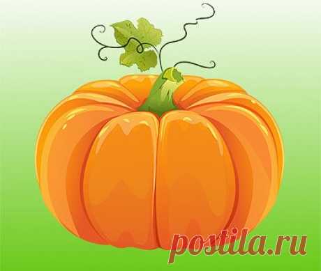 Огород моей мечты - Заметки | OK.RU Огород моей мечты. 40 лет. Место проживания - Россия. Заметки.