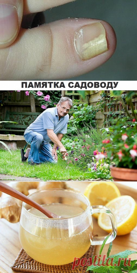 Одноклассники
