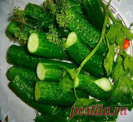 Заготовочки!!!