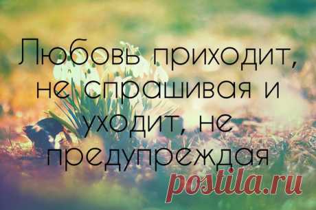 #умныемысли_womanru #цитаты_womanru