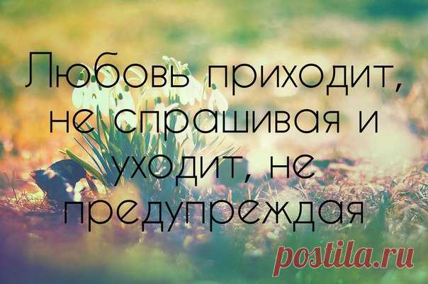 #умныемысли_womanru #цитаты_womanru