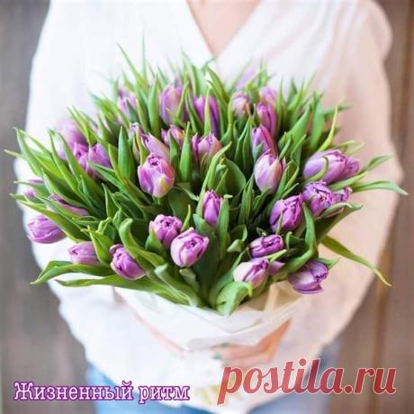 И снова узнать,
Что повсюду — весна,
Что утро и солнце
Прекраснее сна!
И. Мазнин
©