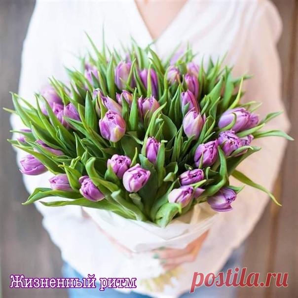 И снова узнать,
Что повсюду — весна,
Что утро и солнце
Прекраснее сна!

И. Мазнин
©