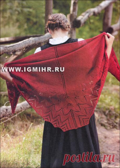 Роскошная шаль малинового цвета с широкой ажурной каймой. Спицы
