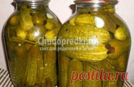 Соленые консервированные огурцы. Популярные рецепты.