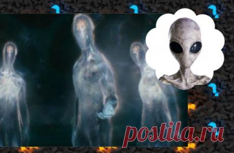 Визит трех полупрозрачных существ