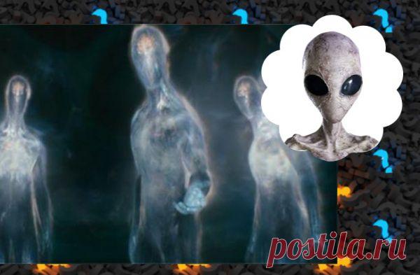 Визит трех полупрозрачных существ