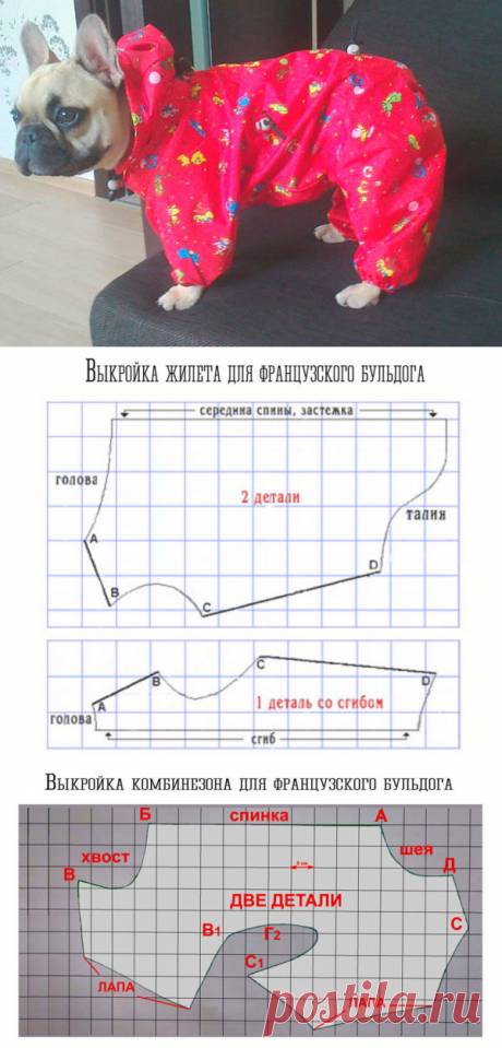 Одежда для французского бульдога, выкройки для французского бульдога своими руками