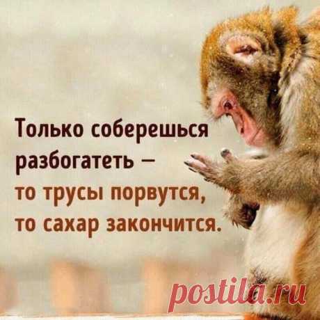 Яндекс.Мессенджер
