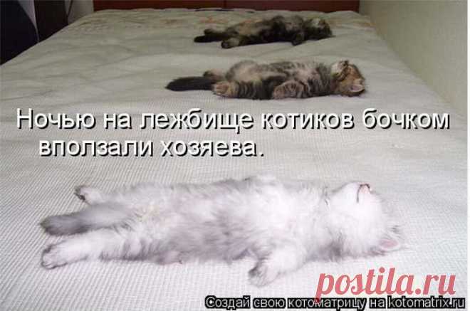 Примостились. | KotoMail.ru