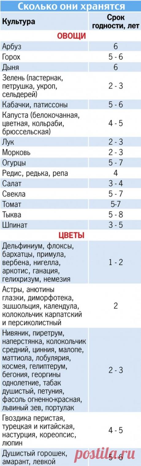 Семена на все времена: готовимся к дачному сезону