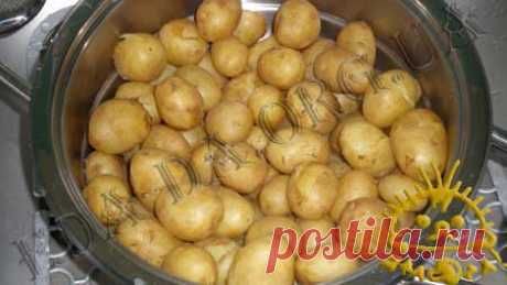 МОЛОДОЙ КАРТОФЕЛЬ, ЖАРЕНЫЙ С МЁДОМ